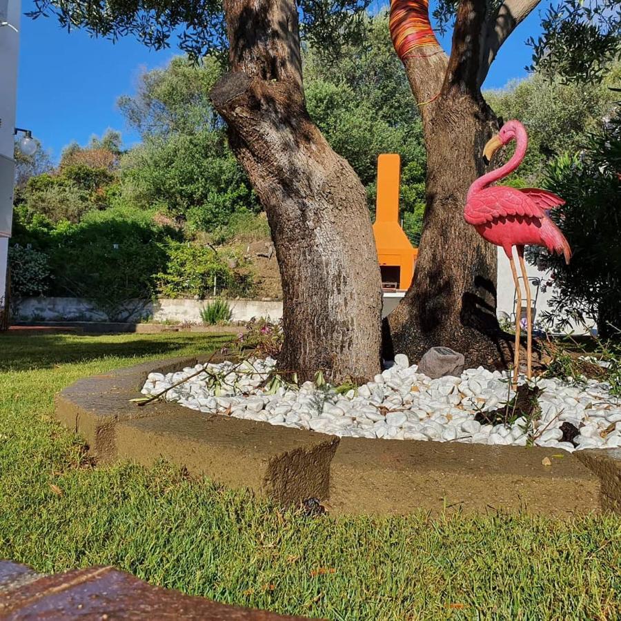 הוילה Porto Columbu - Perd'E Sali Sweethouse Pula מראה חיצוני תמונה